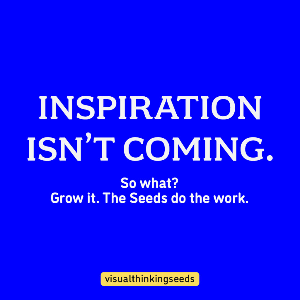 VISUAL THINKING SEEDS