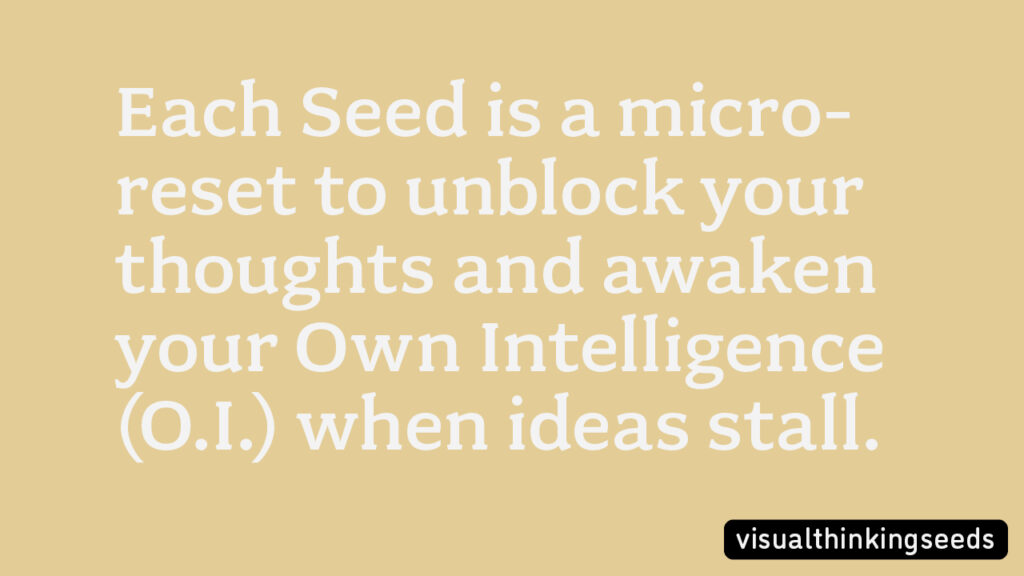 VISUAL THINKING SEEDS