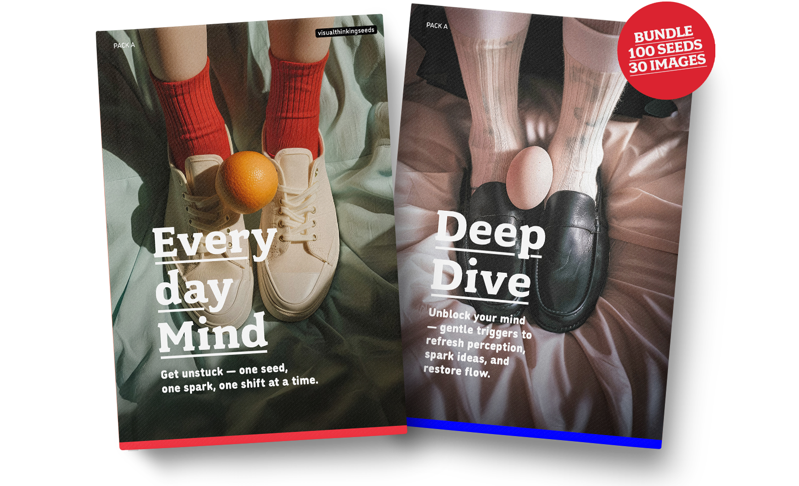 VISUAL THINKING SEEDS